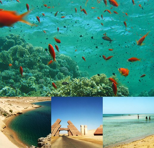 紅海（シャルムエルシェイク）